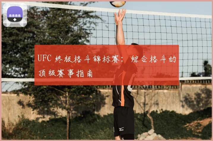 UFC 终极格斗锦标赛：综合格斗的顶级赛事指南
