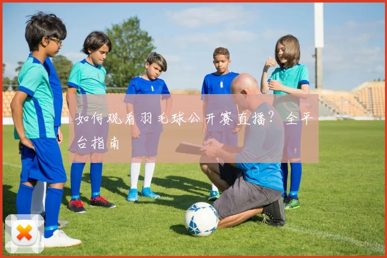 如何观看羽毛球公开赛直播？全平台指南