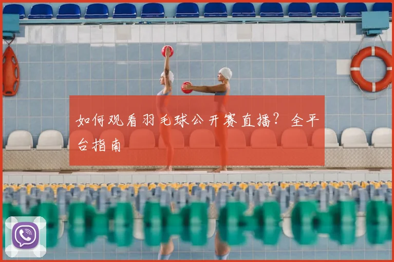 如何观看羽毛球公开赛直播？全平台指南