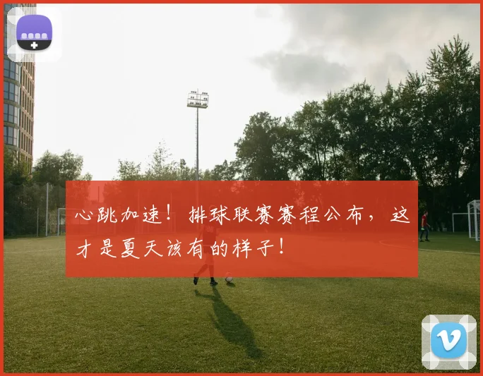 心跳加速！排球联赛赛程公布，这才是夏天该有的样子！